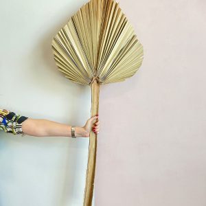 1 Dry Palm Leaves 110cm - Original Flowers