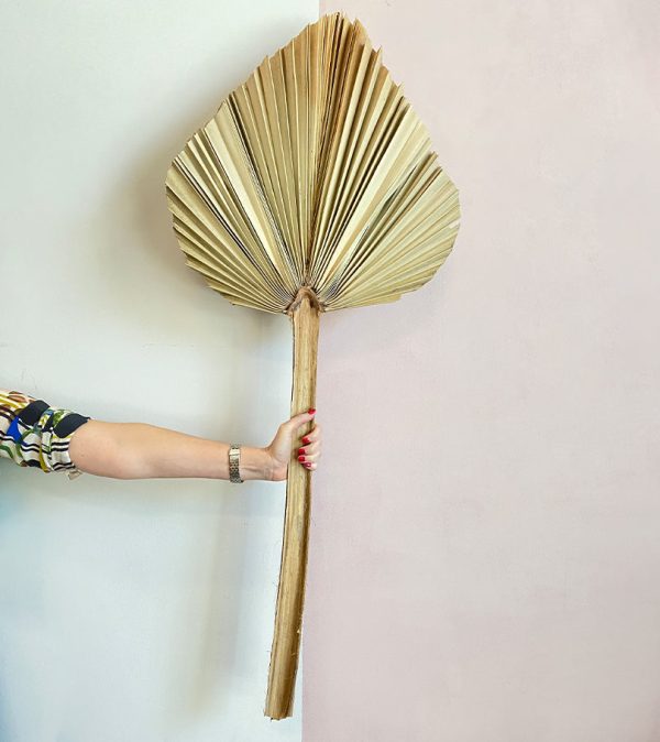 1 Dry Palm Leaves 110cm - Original Flowers