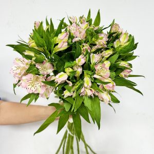 10 Alestromeria Pink - Original Flowers