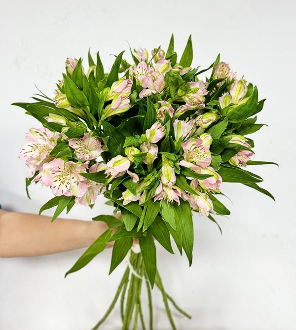 10 Alestromeria Pink - Original Flowers