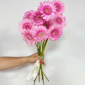 10 Gerbera pink - Original Flowers