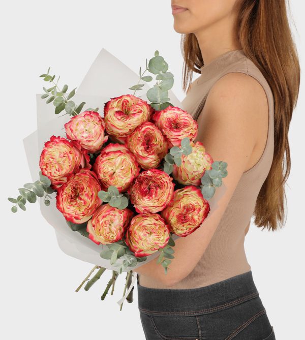 12 Apple Jack Roses - Wow! Flowers