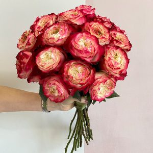 16 Apple Jack Duo Premium Roses - Original Flowers