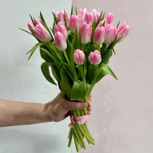 20 Light Pink Tulips - Original Flowers