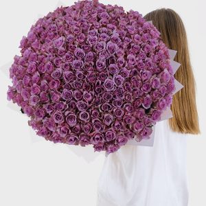 200 Purple Roses - Signature Flowers