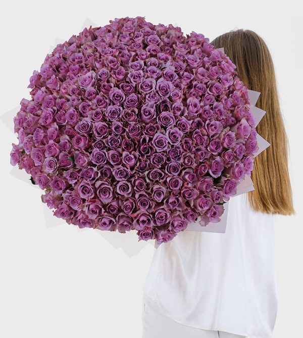 200 Purple Roses - Signature Flowers