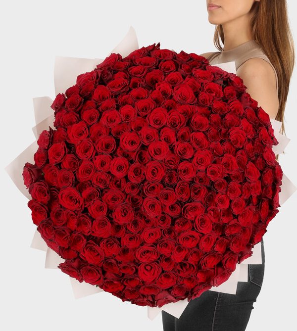 200 Red Roses - Signature Flowers