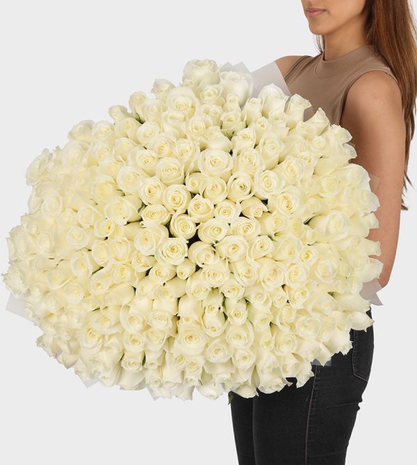 200 White Roses - Signature Flowers