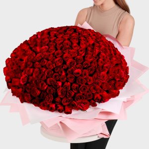 300 Red Roses - Signature Flowers