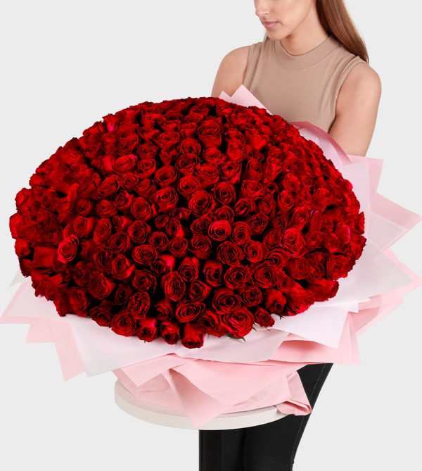 300 Red Roses - Signature Flowers