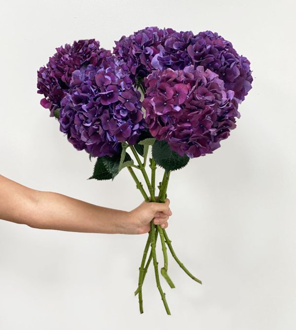 5 Hydrangea Rodeo Purple Stems - Original Uncategorized