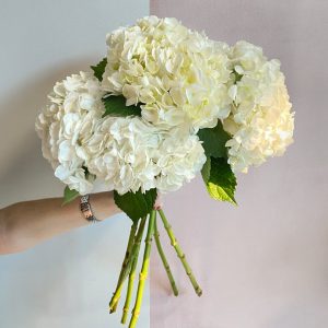 6 White Hydrangeas - Original Flowers