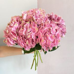 6 pink hydrangeas - Original Flowers