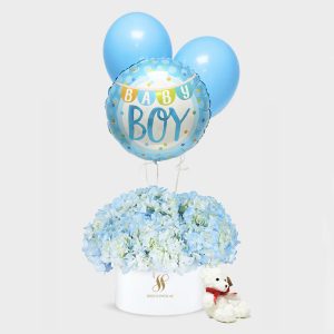 Baby Newborn Boy Bundle - Signature Flowers