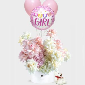 Baby Newborn Girl Bundle - Signature Flowers