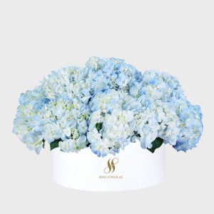 Blue Hydrangea Large Round Box - White Flowers