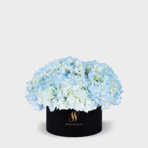 Blue Hydrangea Medium Round Box - Black Flowers