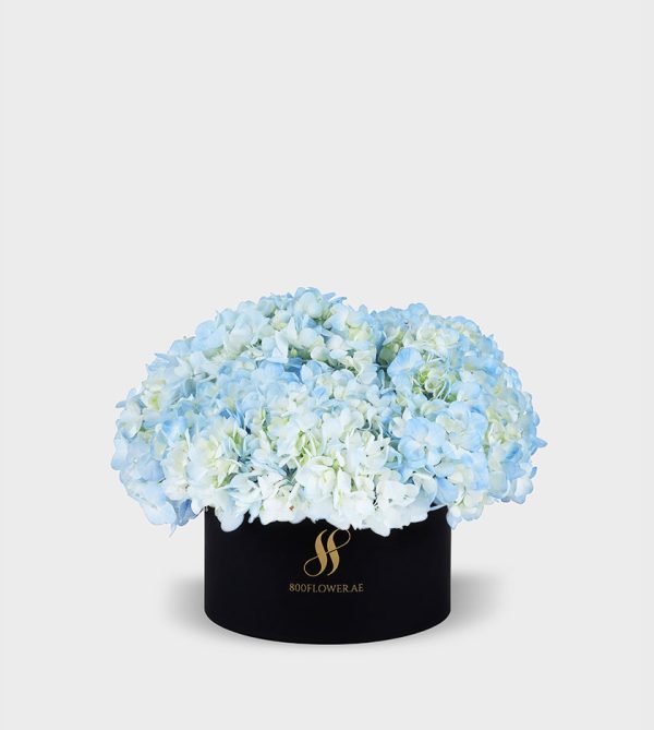 Blue Hydrangea Medium Round Box - Black Flowers