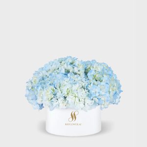 Blue Hydrangea Medium Round Box - White Flowers