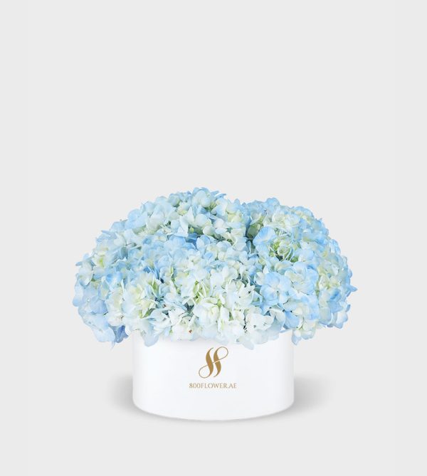 Blue Hydrangea Medium Round Box - White Flowers