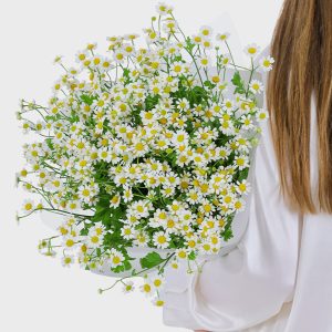 Daisy Bouquet - Wow! Flowers