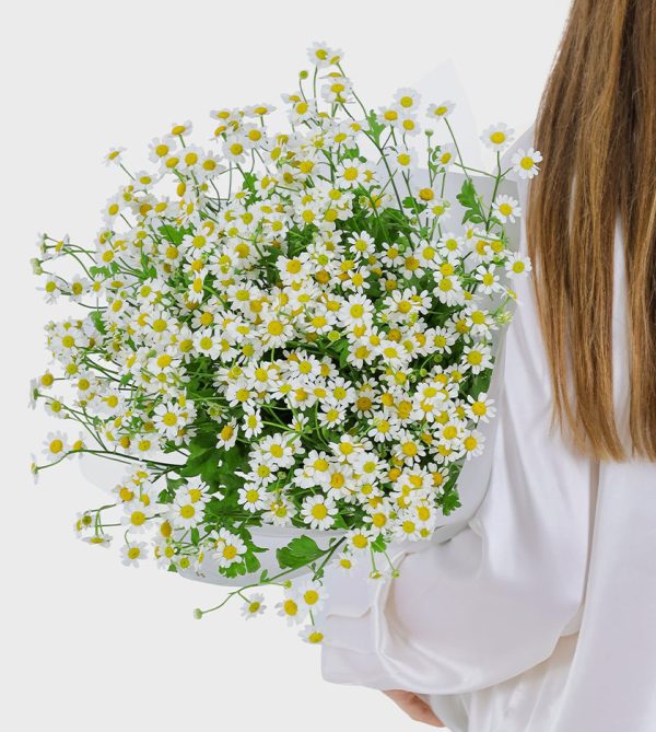 Daisy Bouquet - Wow! Flowers