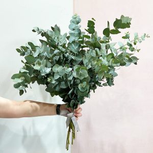 Eucalyptus Bunch - Original Flowers