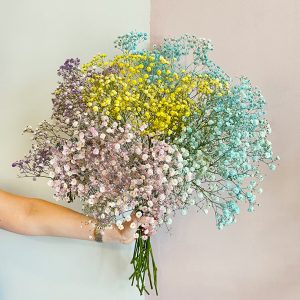 Mix Colored Gypsophila - Original Flowers