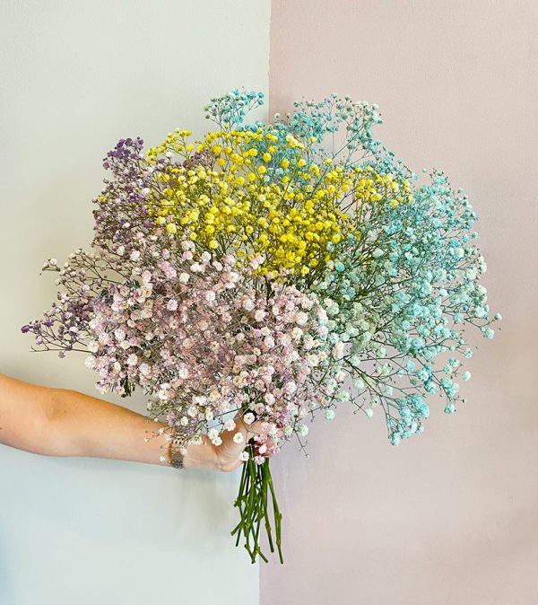 Mix Colored Gypsophila - Original Flowers