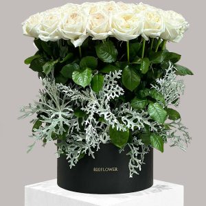 Ohara Rosa Bianca Grande Box - Signature Flowers