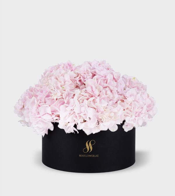 Pink Hydrangea Large Round Box - Black Flowers