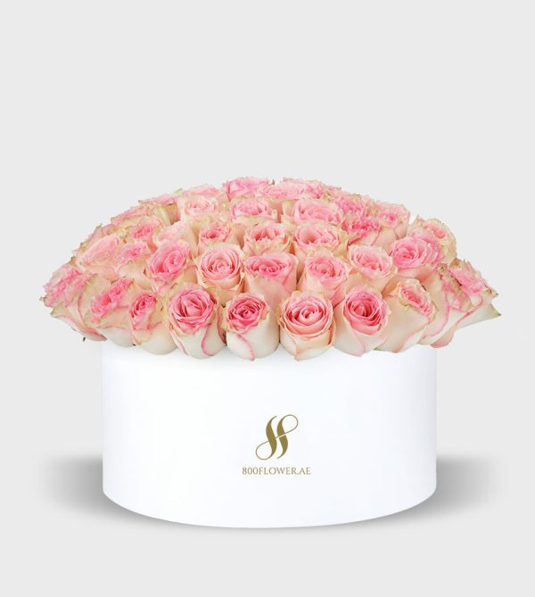 Pink Rose Large Round Box - White Uncategorized