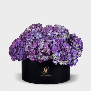 Purple Hydrangea Large Round Box - Black Flowers