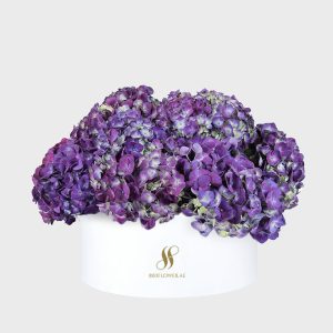 Purple Hydrangea Large Round Box - White Flowers