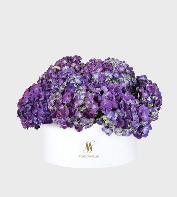 Purple Hydrangea Large Round Box - White Flowers