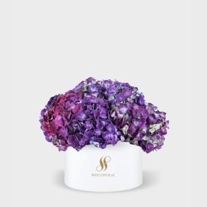 Purple Hydrangea Medium Round Box - White Flowers