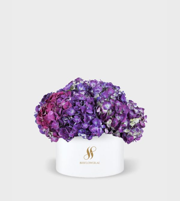 Purple Hydrangea Medium Round Box - White Flowers