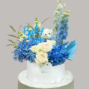 Welcome Baby Boy Round Box Package - Signature Flowers