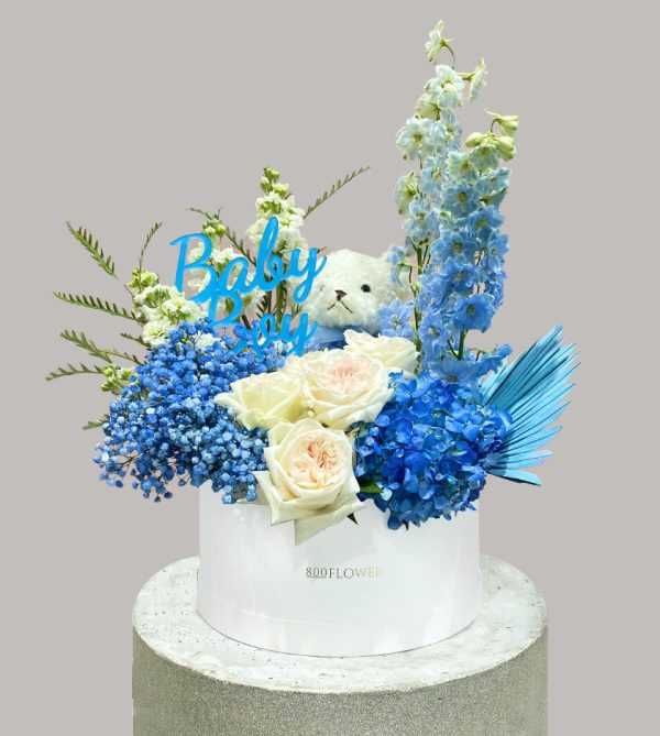 Welcome Baby Boy Round Box Package - Signature Flowers