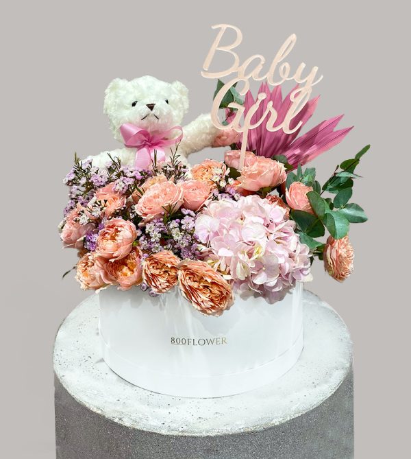 Welcome Baby Girl Round Box Package - Signature Flowers