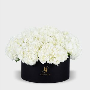 White Hydrangea Large Round Box - Black Flowers