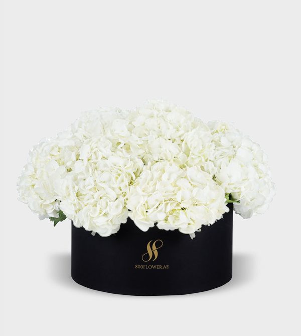 White Hydrangea Large Round Box - Black Flowers