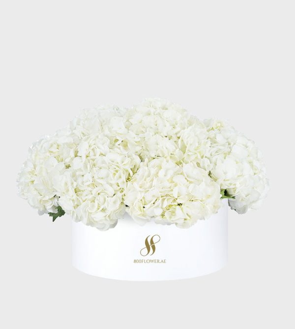 White Hydrangea Large Round Box - White Flowers