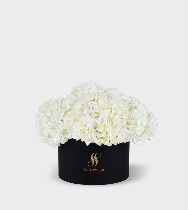 White Hydrangea Medium Round Box - Black Flowers