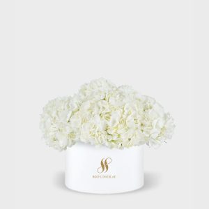 White Hydrangea Medium Round Box - White Flowers