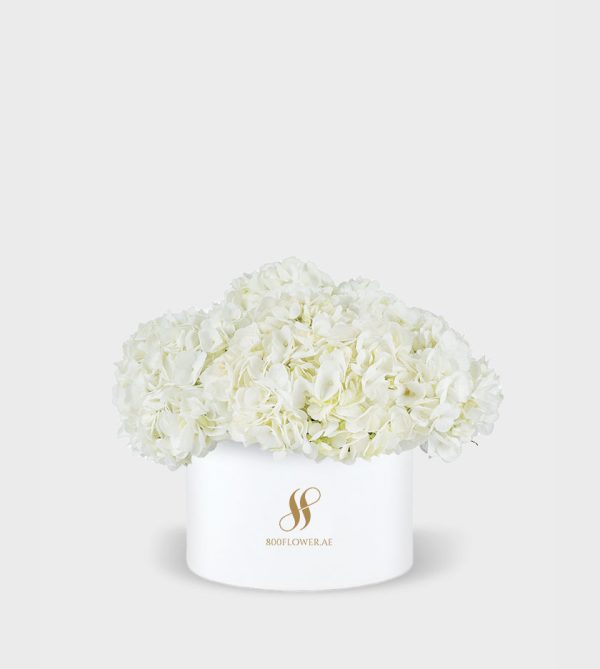 White Hydrangea Medium Round Box - White Flowers